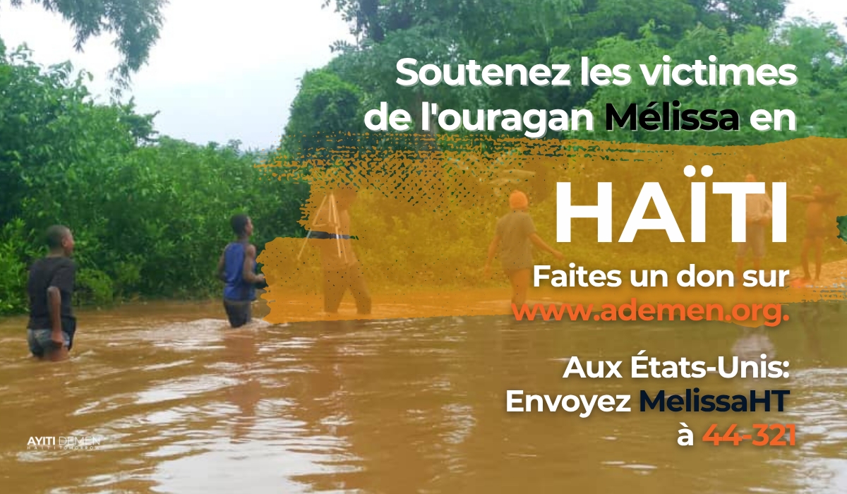 Banner FOKAL Melissa3